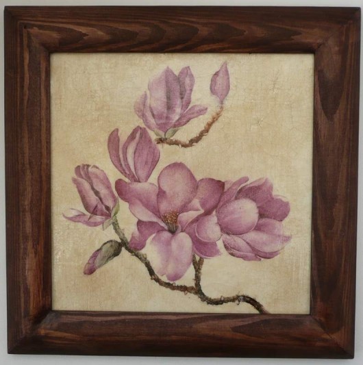magnolie Monika Sibiga