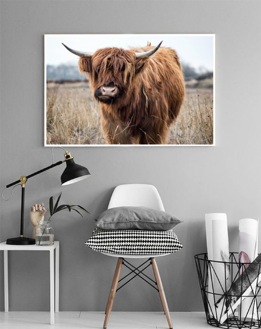 PLAKAT  HIGHLANDS plakat z krową Szkocja black dot studio