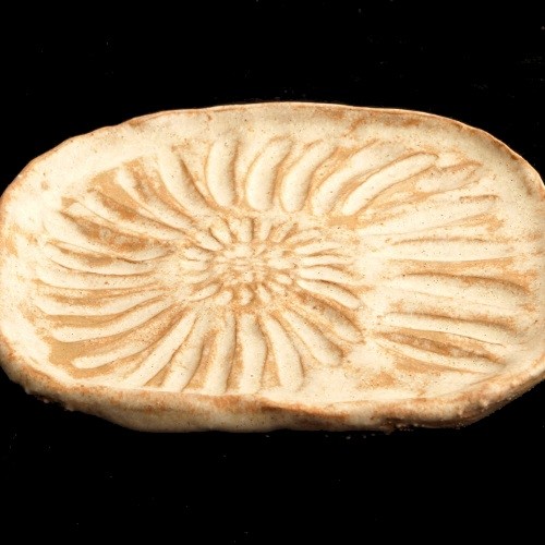 skorupiak Dekornia