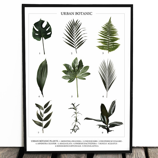 Botaniczny plakat URBAN BOTANIC format A4 Lawendowy Bazar