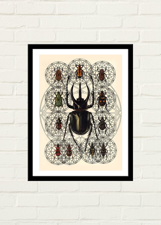 Hexagon Beetle Plakat GAU Home
