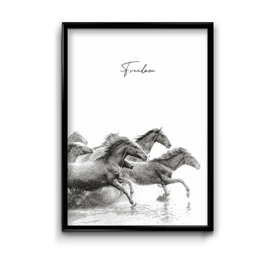 Plakat Freedom  Bury Lis