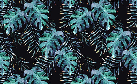 Fototapeta Samoprzylepna - Monstera Dekoracje PATKA Patrycja Kita