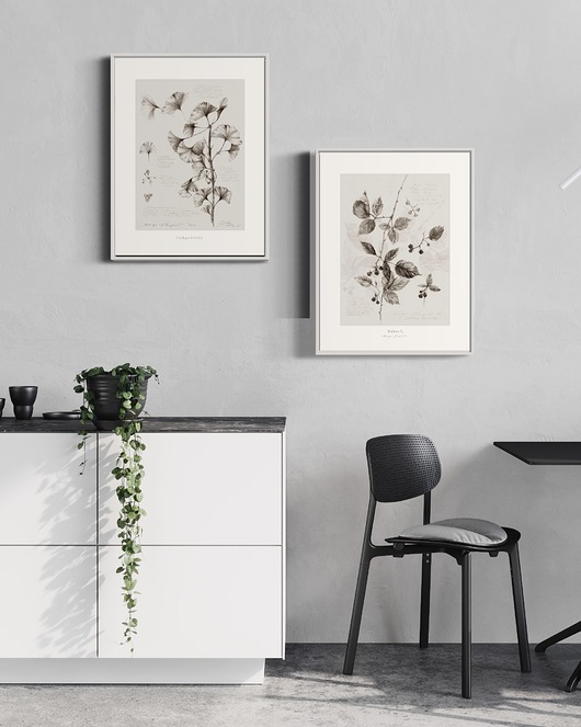 grafiki i ilustracje Ginkgo & Rubus L.
