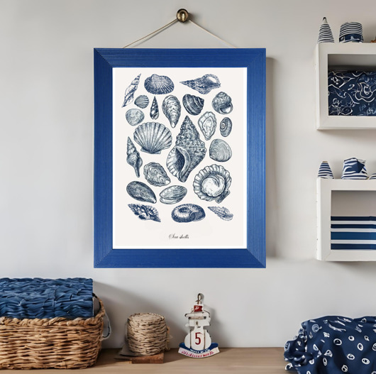 plakaty PLAKAT muszle, vintage, ilustracja, plansza