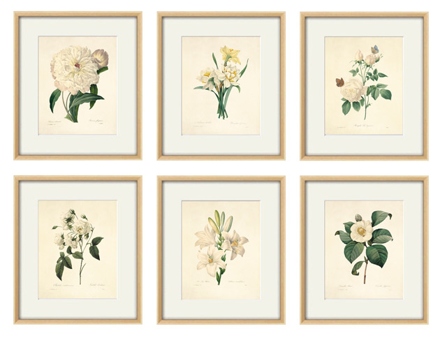 grafiki i ilustracje Kwiaty Ilustracja Druk Botaniczny prezent stara Grafika Rysunek