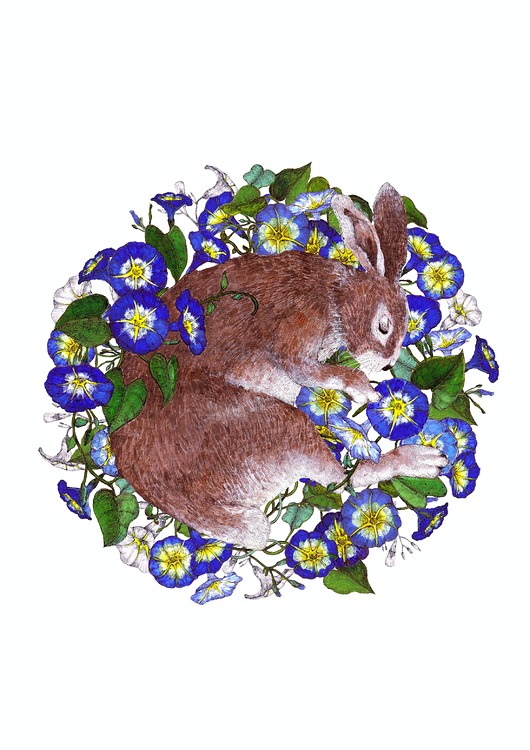 grafiki i ilustracje Śpiący królik - grafika- ilustracja