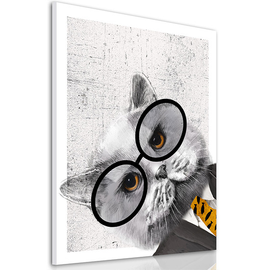 obrazy OBRAZ NA PŁÓTNIE - 60x80cm  KOT W MARYNARCE