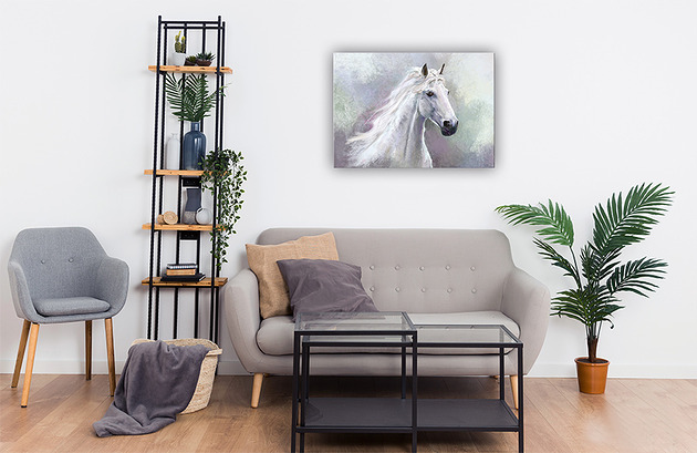 obrazy Obraz - Biały koń - wydruk na płótnie