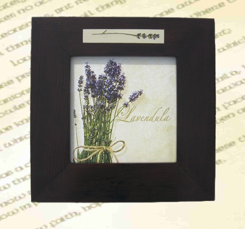 Obrazek   LAVENDULA I ANIKA45