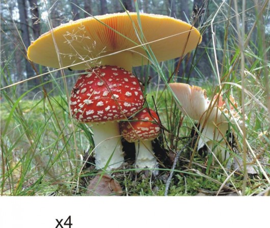Podkładki z muchomorami-4 szt. na zamówienie Gaul Designs