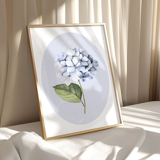 obrazy Niebieska Hortensja - grafika botaniczna