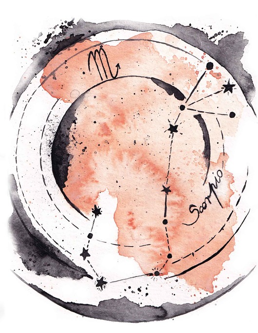 plakaty Plakat Gwiazdozbiór Skorpiona Znak Zodiaku SKORPION