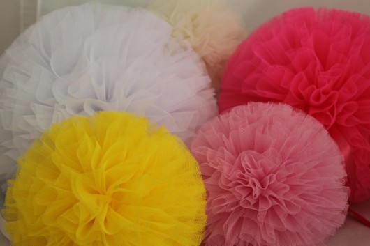 Pompony L LucyandKucy