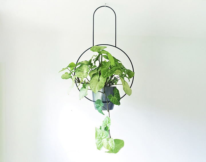 Kwietniki zazieleń swój dom