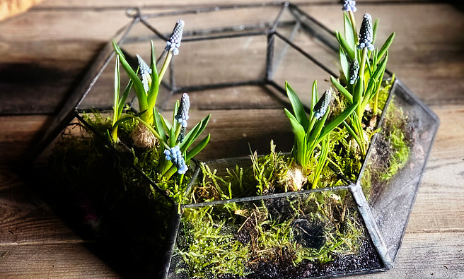 sklep Zielona Sztuka